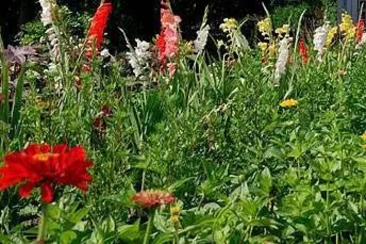 Nu online: drie artikelen over vruchten van de Geest, innerlijke gezindheden