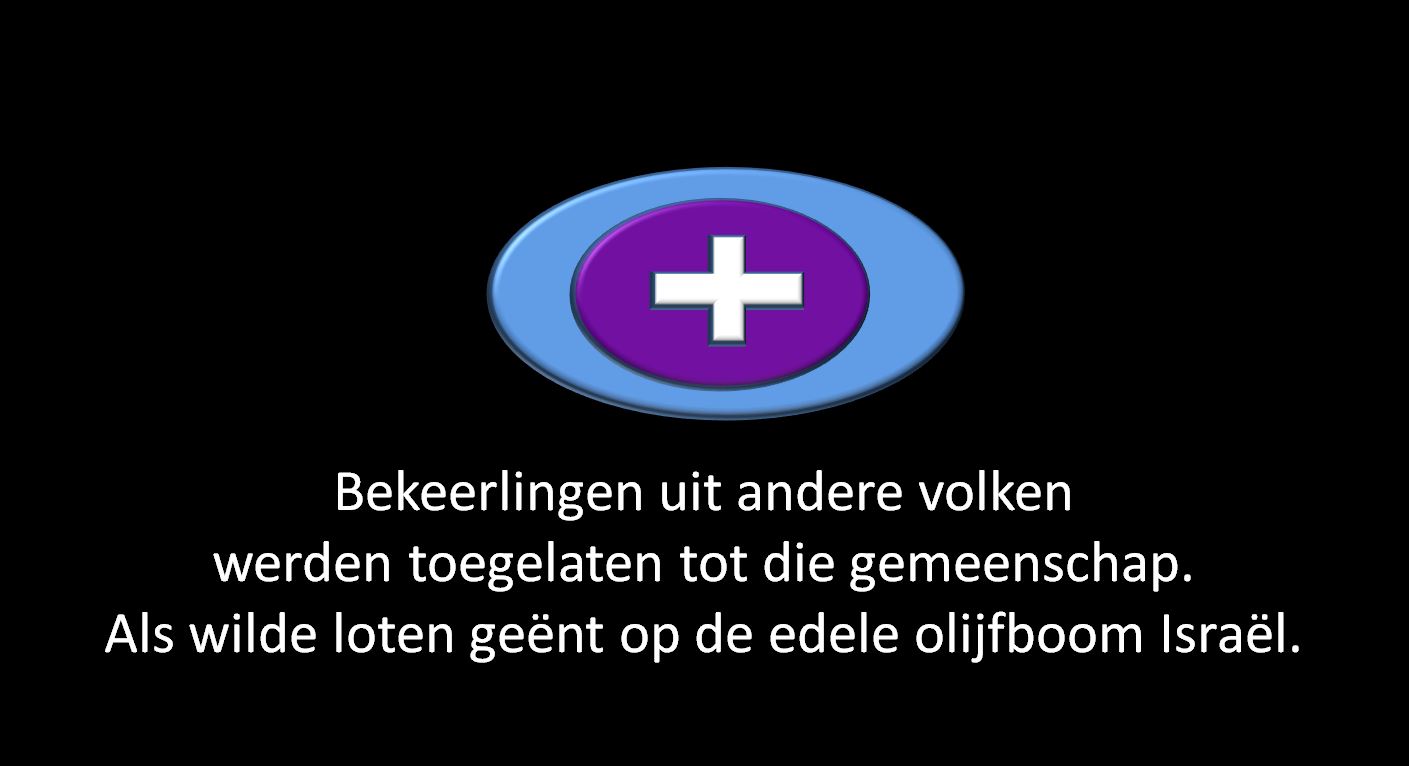 ppp3